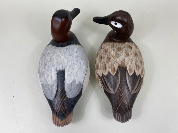 Pair of Canvasbacks, Ferguson (Harris School) (#7277)