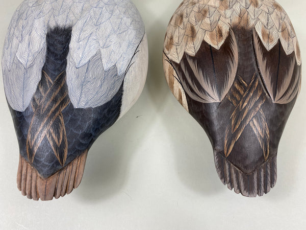 Pair of Canvasbacks, Ferguson (Harris School) (#7277)