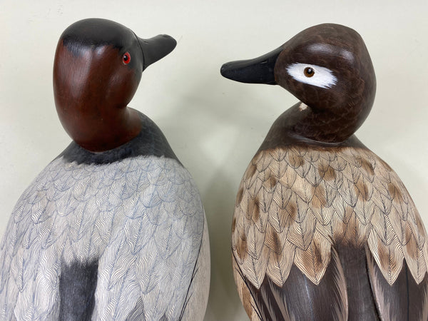 Pair of Canvasbacks, Ferguson (Harris School) (#7277)