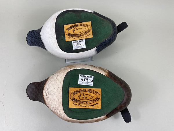 Pair of Canvasbacks, Ferguson (Harris School) (#7277)