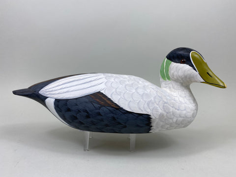 Tom Ferguson Common American Eider (#7280)