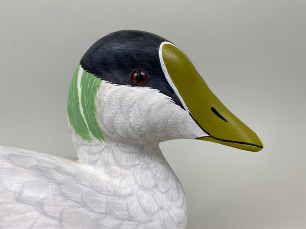 Tom Ferguson Common American Eider (#7280)