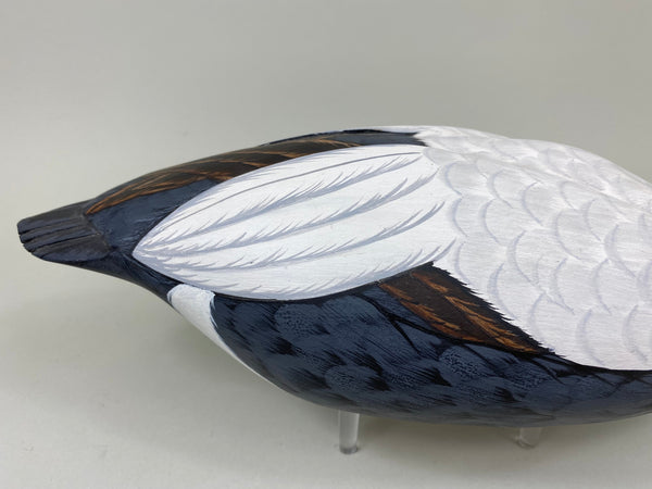 Tom Ferguson Common American Eider (#7280)