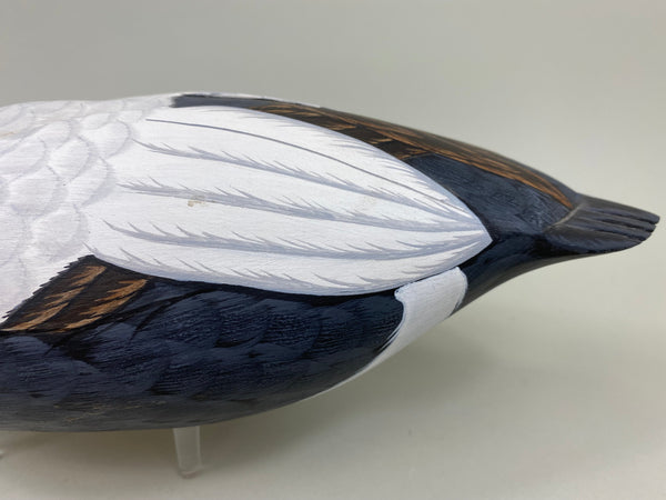 Tom Ferguson Common American Eider (#7280)