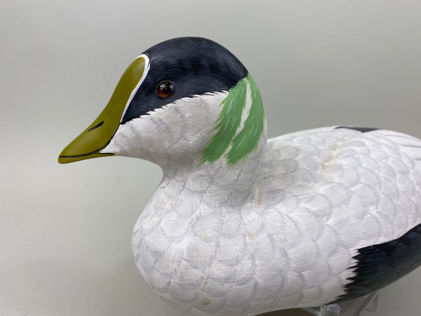 Tom Ferguson Common American Eider (#7280)