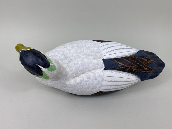 Tom Ferguson Common American Eider (#7280)