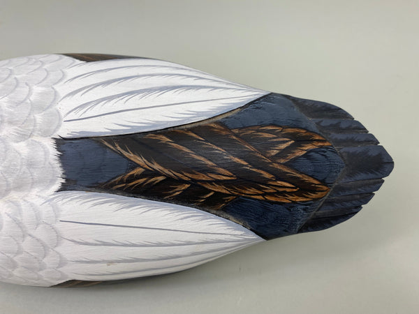 Tom Ferguson Common American Eider (#7280)