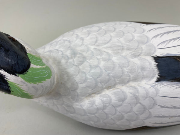 Tom Ferguson Common American Eider (#7280)