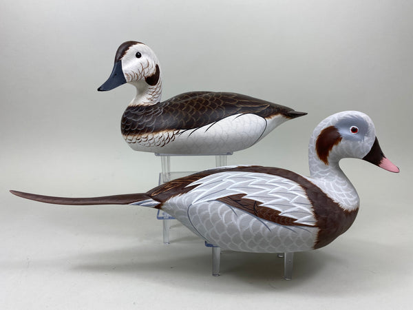 Tom Ferguson Pair of Old Squaw / Long Tails (#7281)
