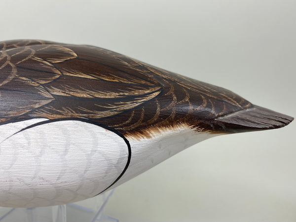 Tom Ferguson Pair of Old Squaw / Long Tails (#7281)