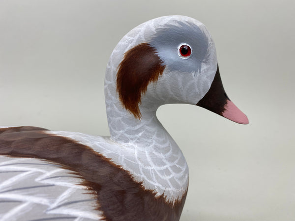 Tom Ferguson Pair of Old Squaw / Long Tails (#7281)