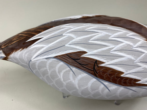 Tom Ferguson Pair of Old Squaw / Long Tails (#7281)