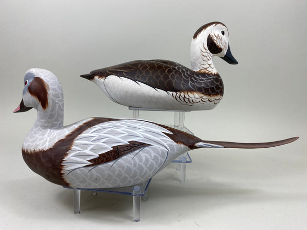 Tom Ferguson Pair of Old Squaw / Long Tails (#7281)