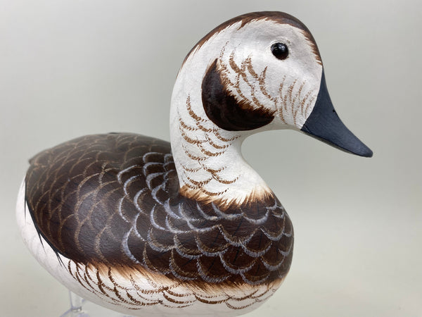 Tom Ferguson Pair of Old Squaw / Long Tails (#7281)