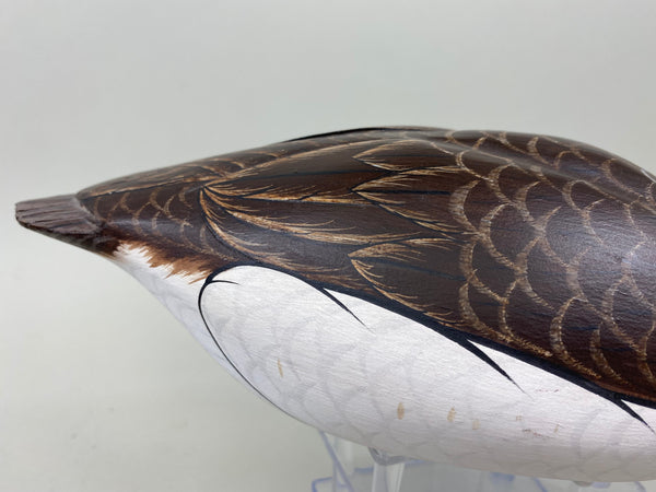 Tom Ferguson Pair of Old Squaw / Long Tails (#7281)