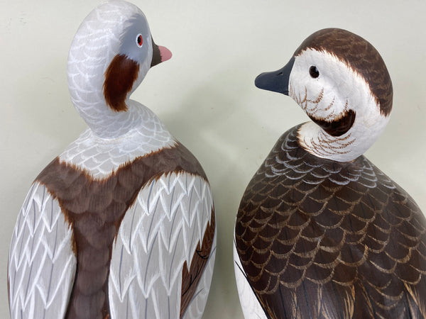 Tom Ferguson Pair of Old Squaw / Long Tails (#7281)