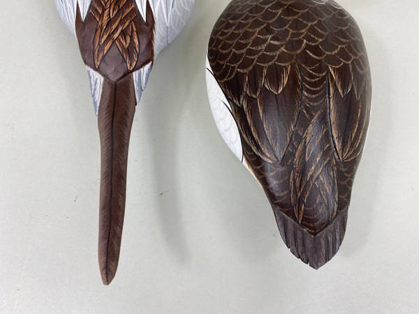 Tom Ferguson Pair of Old Squaw / Long Tails (#7281)