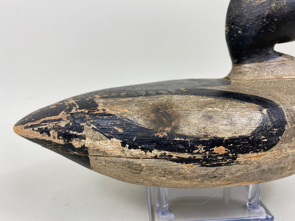 Unknown Goldeneye Drake (#7287)