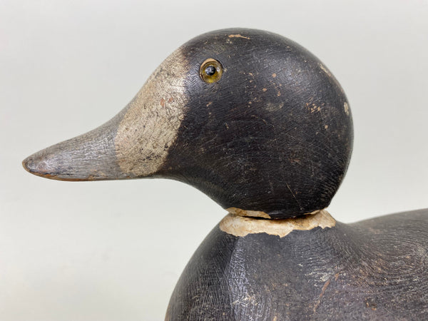 Mason Blue Bill Hen, Original Paint (#7289)