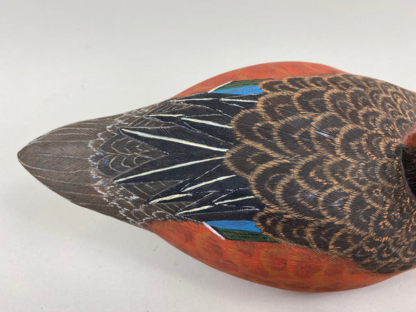 Unknown Cinnamon Teal (#7294)