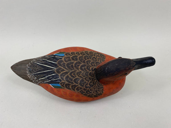 Unknown Cinnamon Teal (#7294)