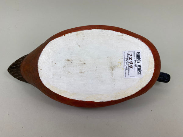 Unknown Cinnamon Teal (#7294)