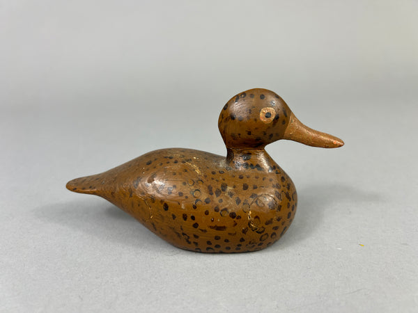 Unknown Mini Wisconsin Mallard Hen (#4169)