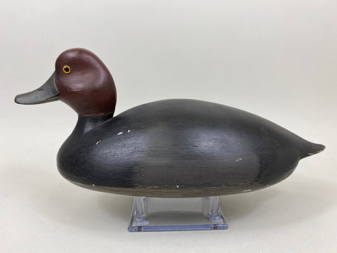 Unknown Canada Redhead, Circa 1930's (#7301)