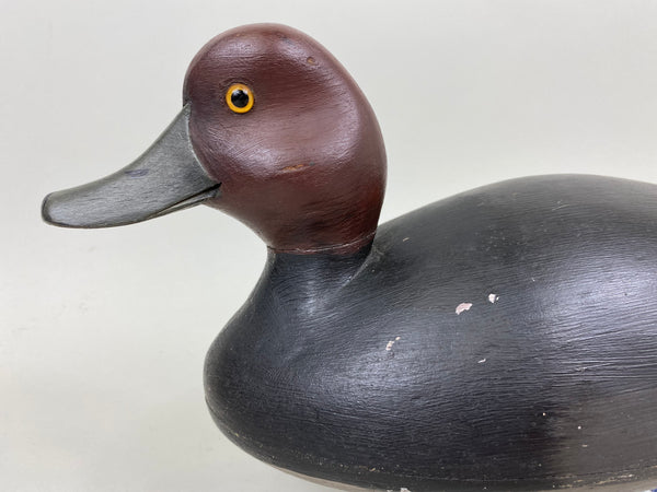 Unknown Canada Redhead, Circa 1930's (#7301)