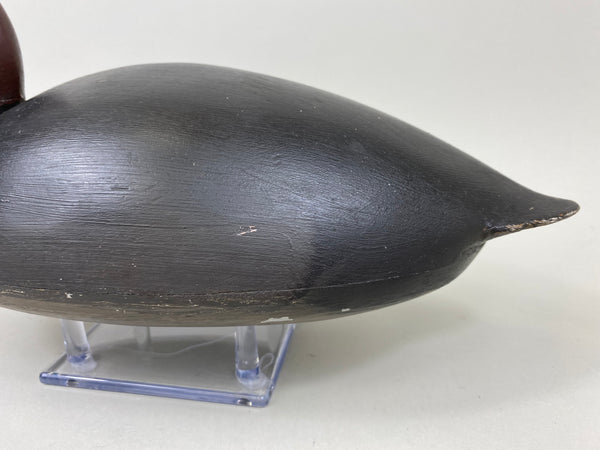 Unknown Canada Redhead, Circa 1930's (#7301)