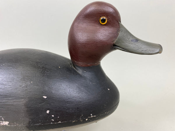 Unknown Canada Redhead, Circa 1930's (#7301)