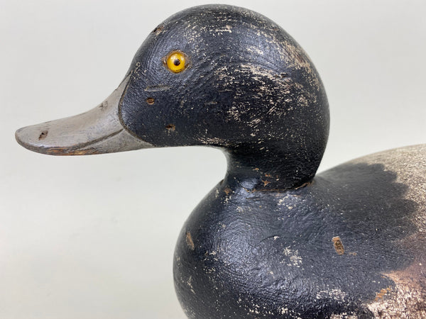 Rare Hollow Mason Challenge Grade Blue Bill (#7304)