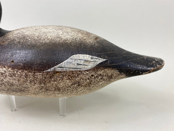 Rare Hollow Mason Challenge Grade Blue Bill (#7304)