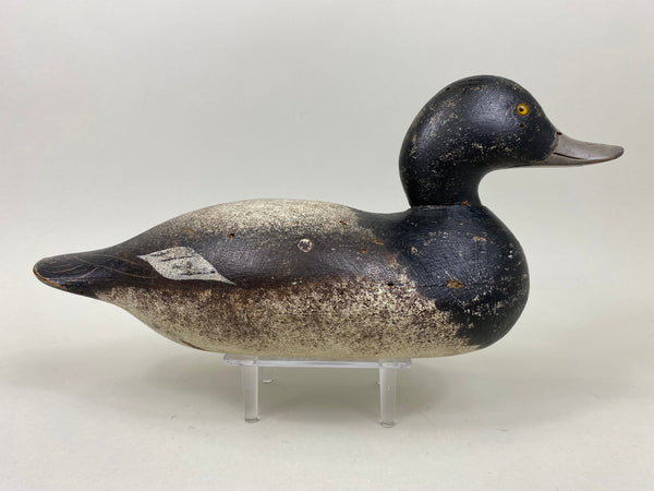 Rare Hollow Mason Challenge Grade Blue Bill (#7304)