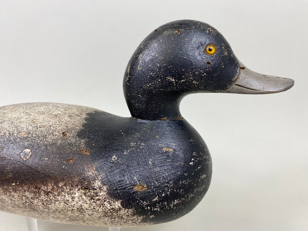 Rare Hollow Mason Challenge Grade Blue Bill (#7304)