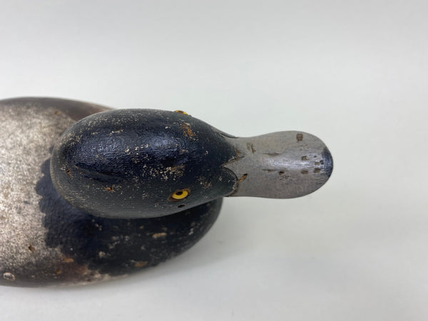 Rare Hollow Mason Challenge Grade Blue Bill (#7304)