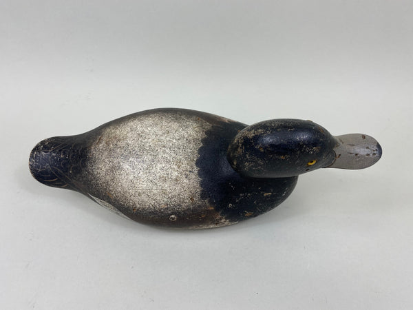 Rare Hollow Mason Challenge Grade Blue Bill (#7304)