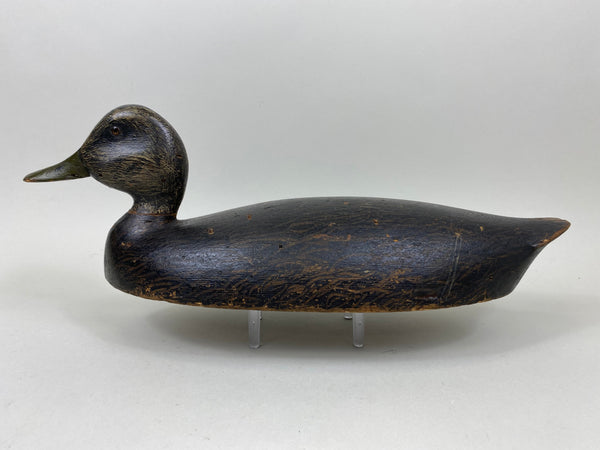 Harve Davern Black Duck, Original Paint, Circa 1930's (#7305)