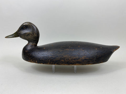 Harve Davern Black Duck, Original Paint, Circa 1930's (#7305)