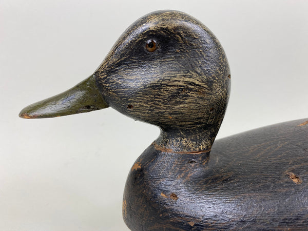 Harve Davern Black Duck, Original Paint, Circa 1930's (#7305)