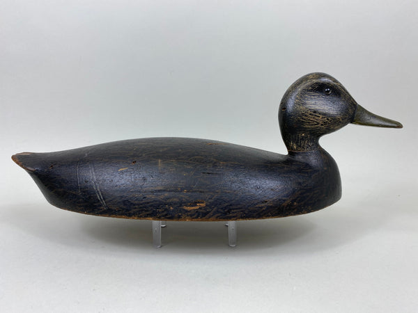 Harve Davern Black Duck, Original Paint, Circa 1930's (#7305)