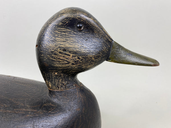 Harve Davern Black Duck, Original Paint, Circa 1930's (#7305)