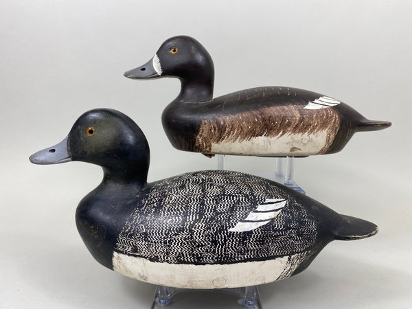 Bud Hundley Rig Mate Pair of Bluebills (#7307)