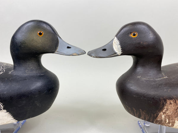 Bud Hundley Rig Mate Pair of Bluebills (#7307)