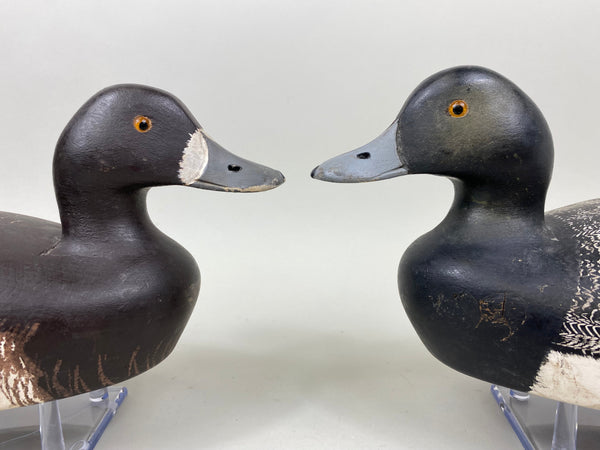 Bud Hundley Rig Mate Pair of Bluebills (#7307)