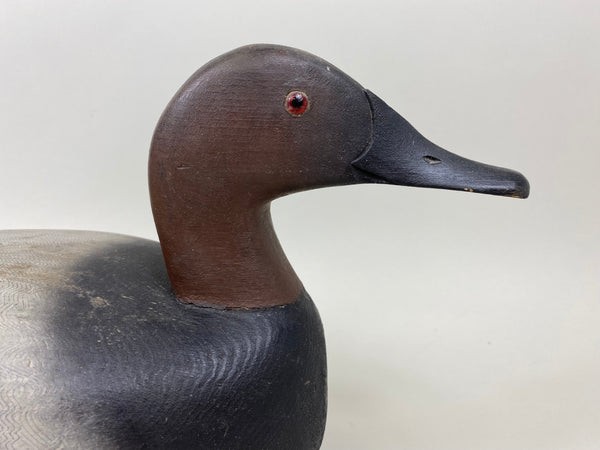 Frank DeRoevan Canvasback Drake (#7308)