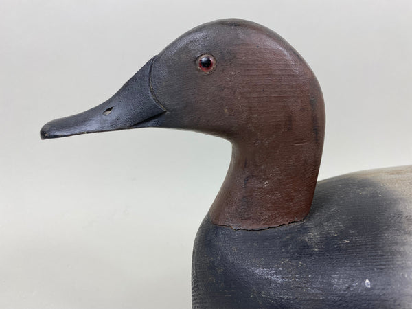 Frank DeRoevan Canvasback Drake (#7308)