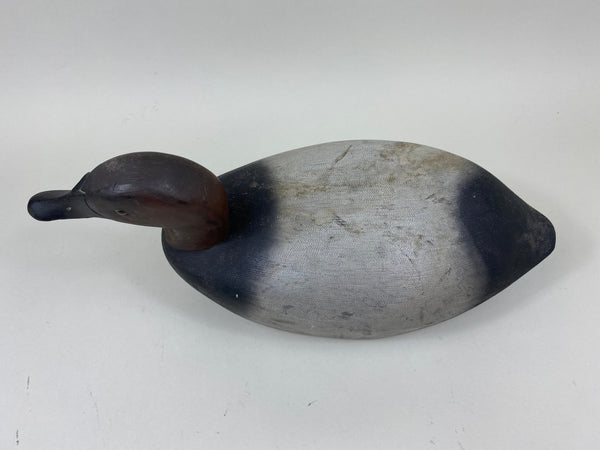 Frank DeRoevan Canvasback Drake (#7308)