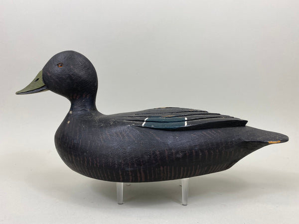 George Guyon Black Duck, Original Paint, Circa 1936 (#7309)