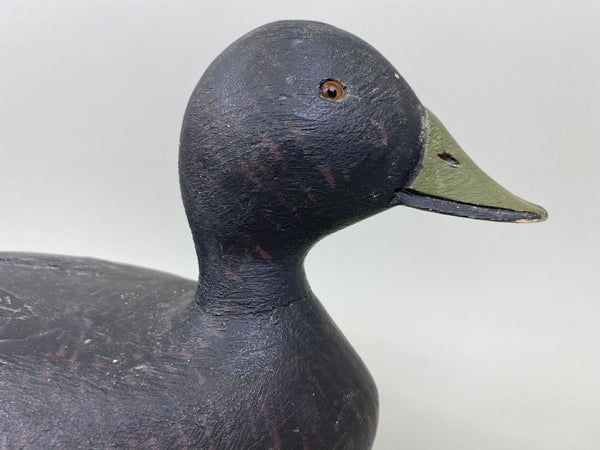 George Guyon Black Duck, Original Paint, Circa 1936 (#7309)